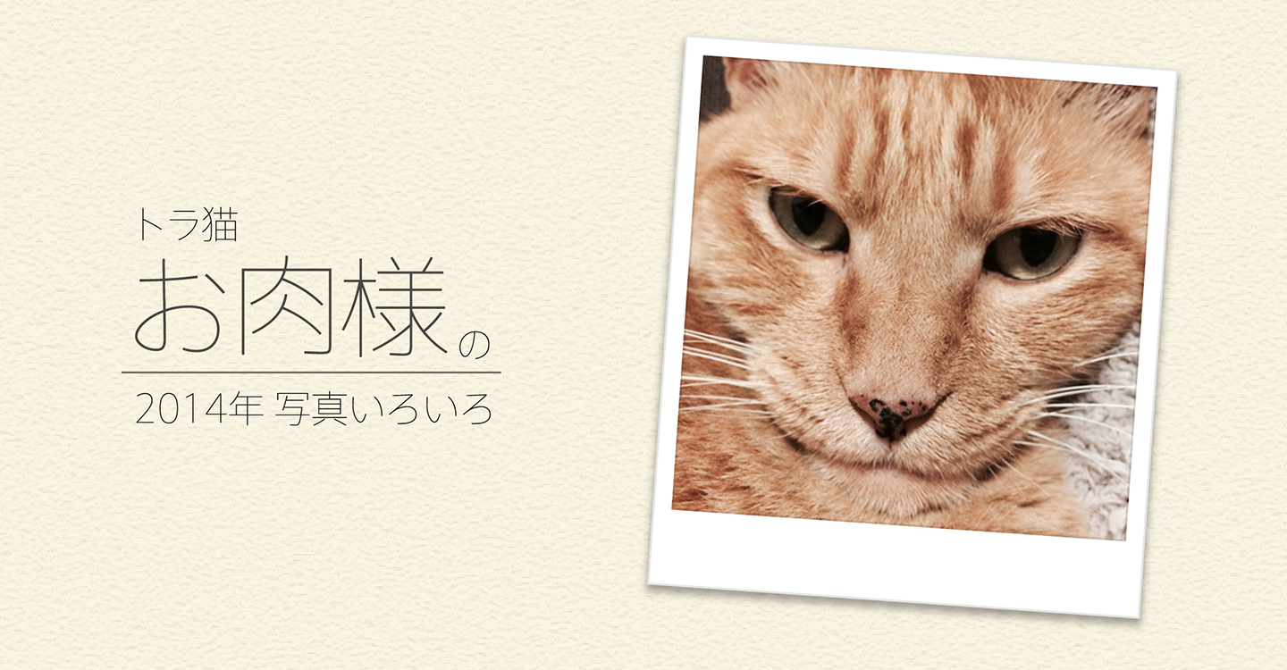 サムネ : トラ猫 お肉様 の2014年写真集
