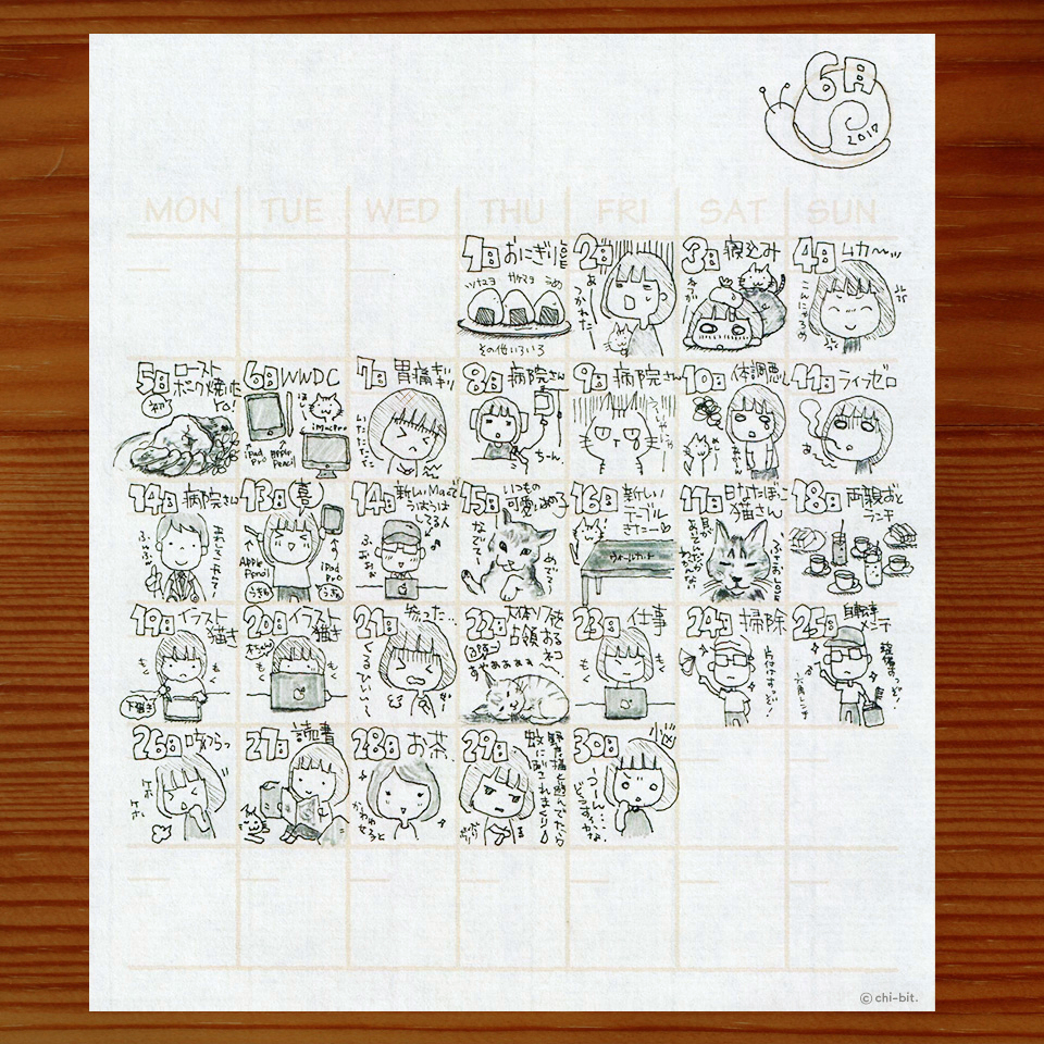 2017年6月の絵日記