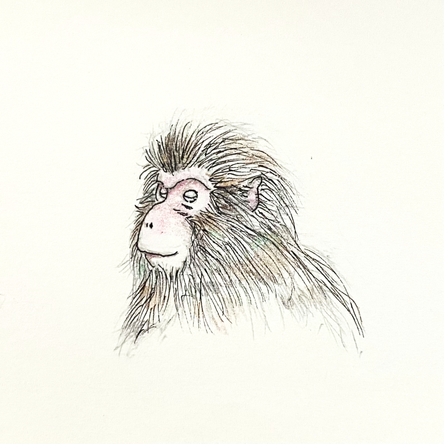 イラスト : お猿 | Monkey