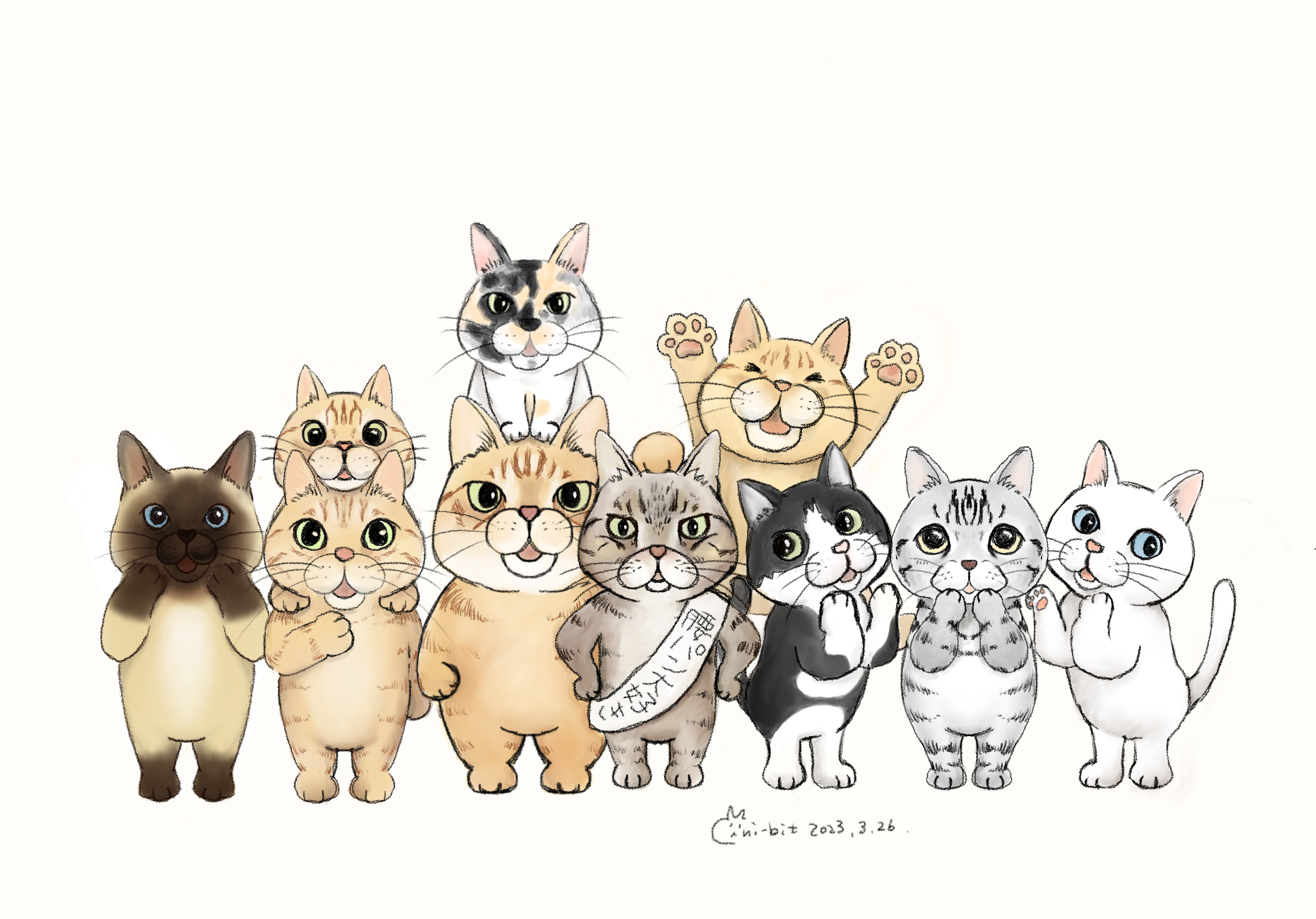 イラスト : どんじろうさんとみんな | illustrations drawn for Donjiro