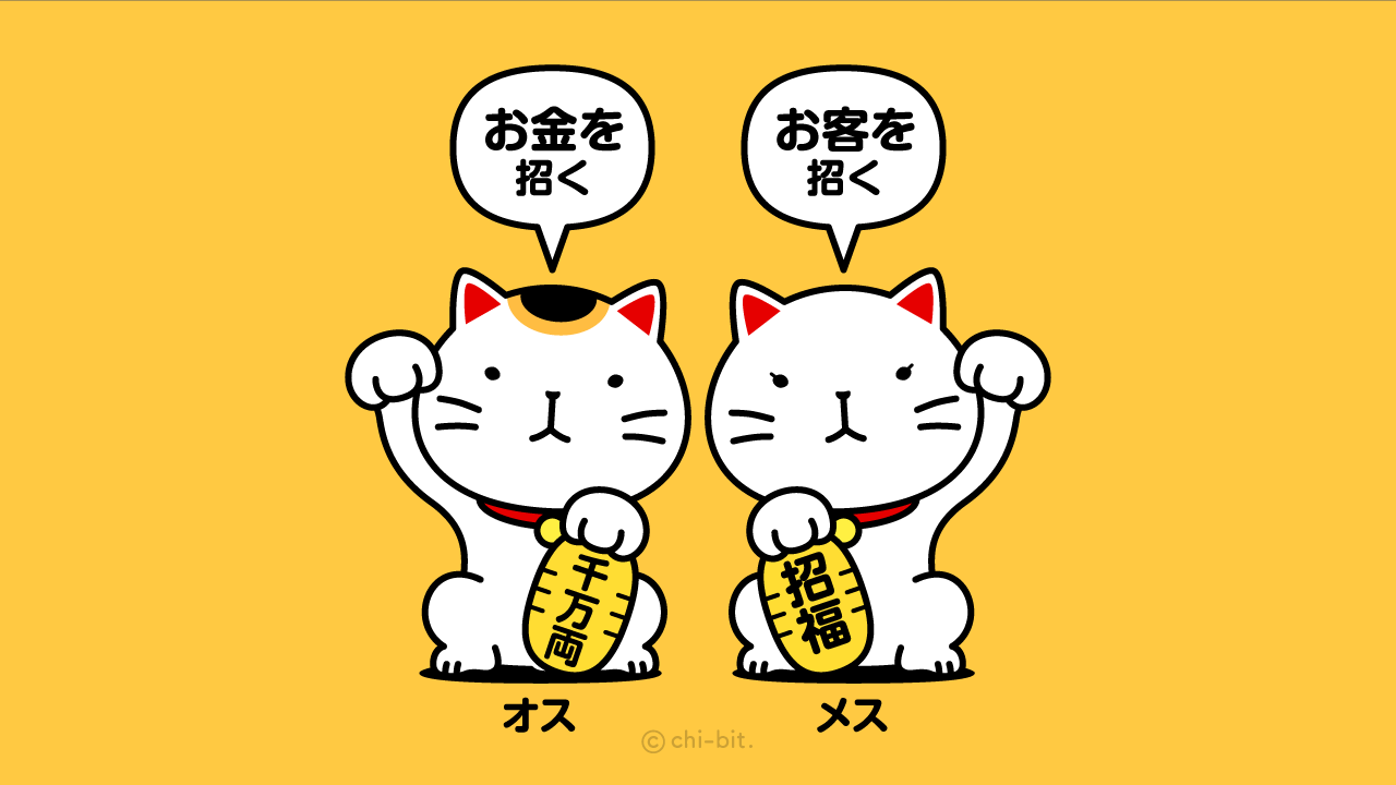 イラスト : 招き猫の性別・特徴