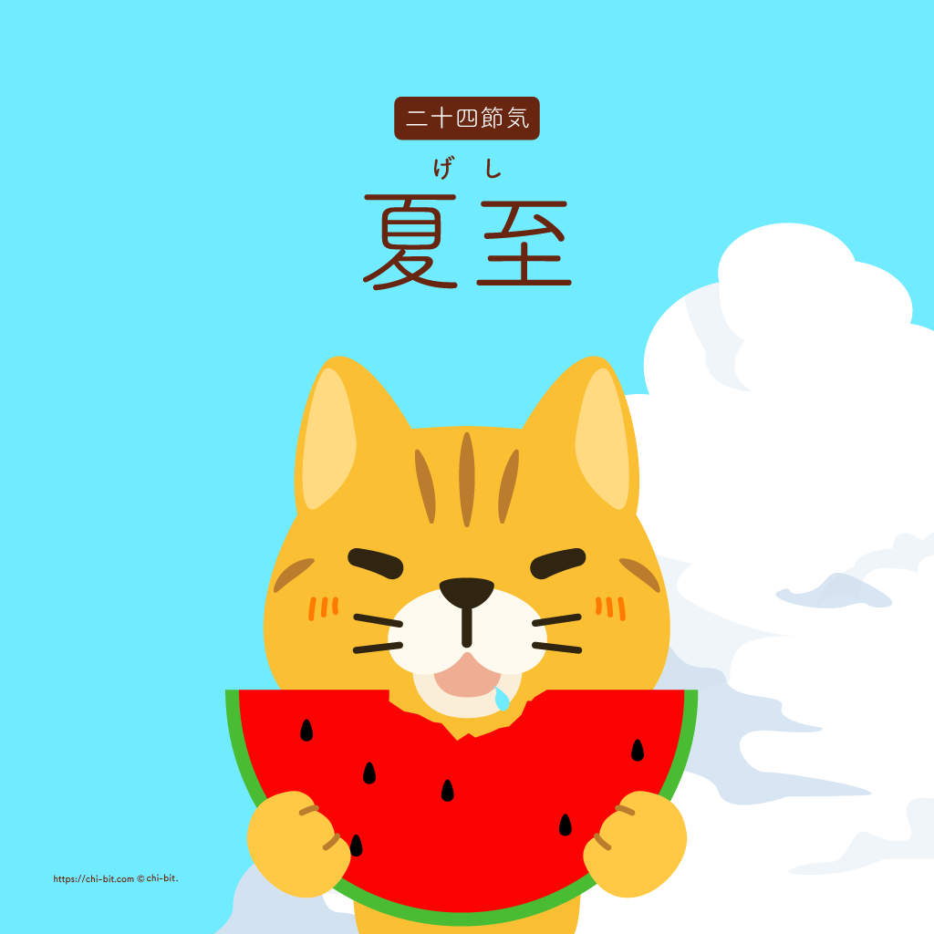 イラスト : 夏至 | Summer Solsice