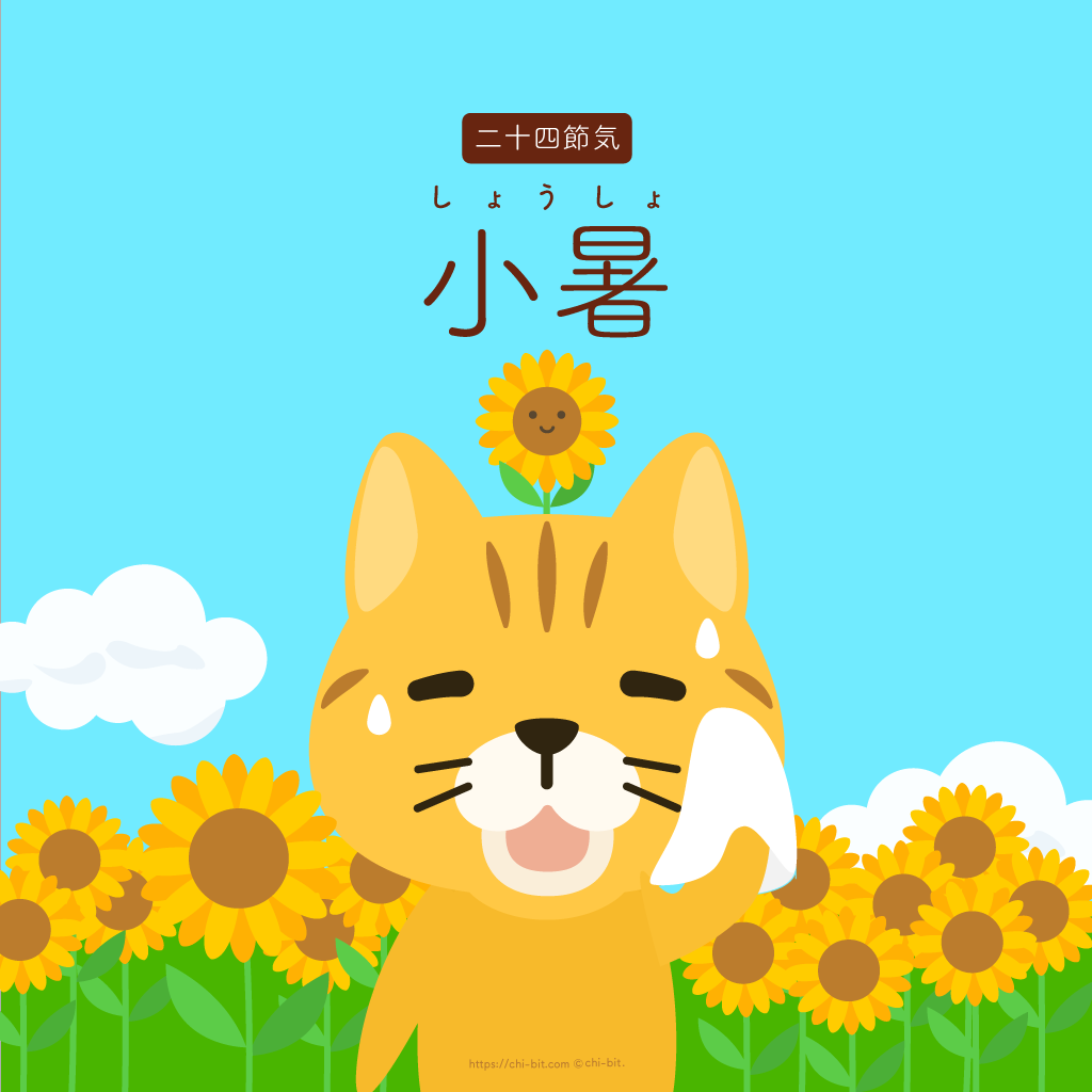 イラスト : 小暑 | Lesser Heat