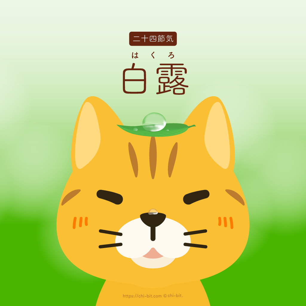 イラスト : 白露 | White Dew