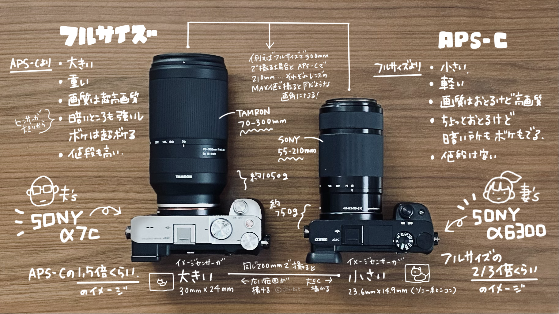 インフォグラフィック : フルサイズとAPS-Cの違い | Full Frame vs APS-C 