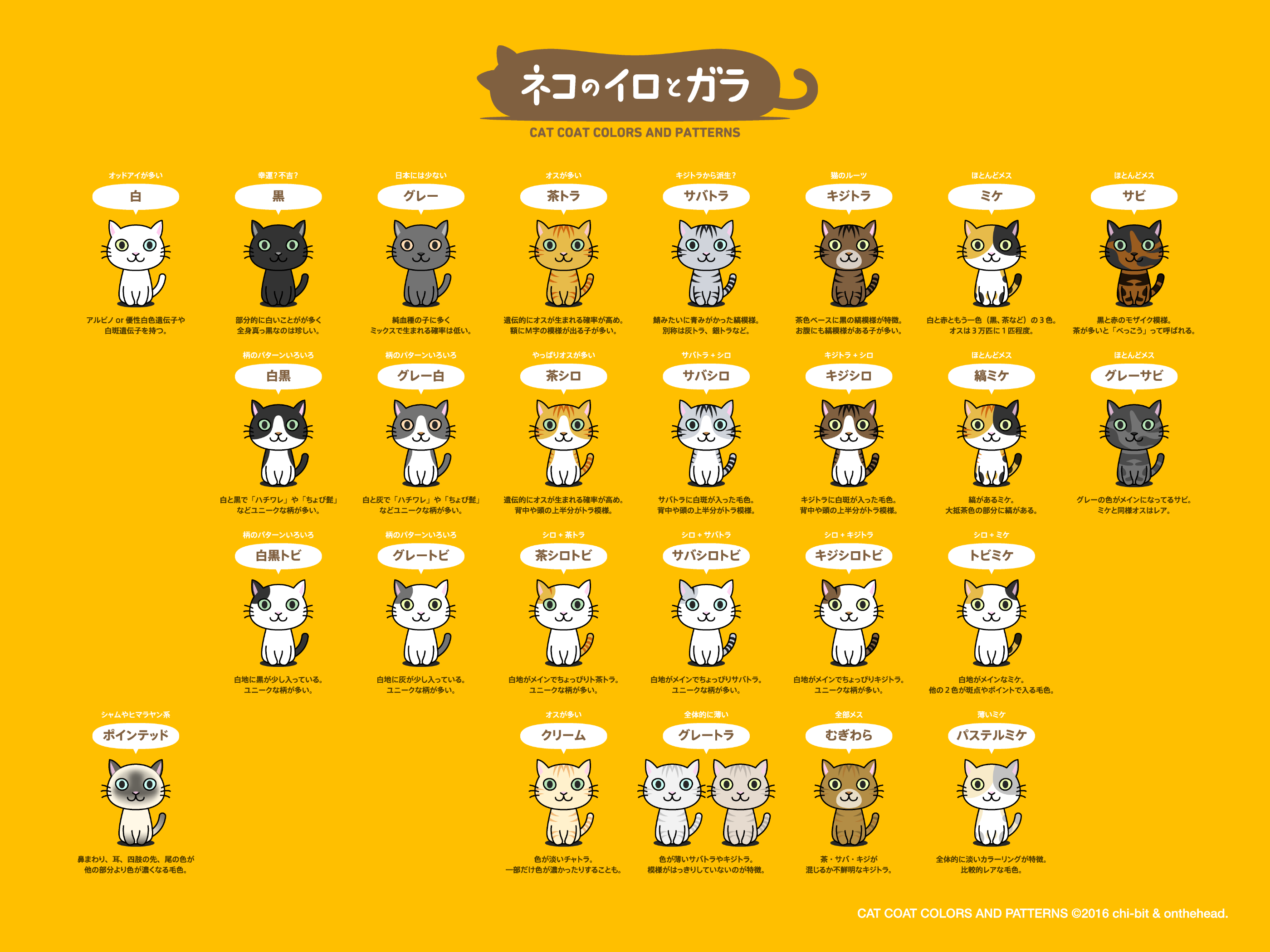 インフォグラフィック : ネコノイロトガラ | Cat Coat Color and Pattern 