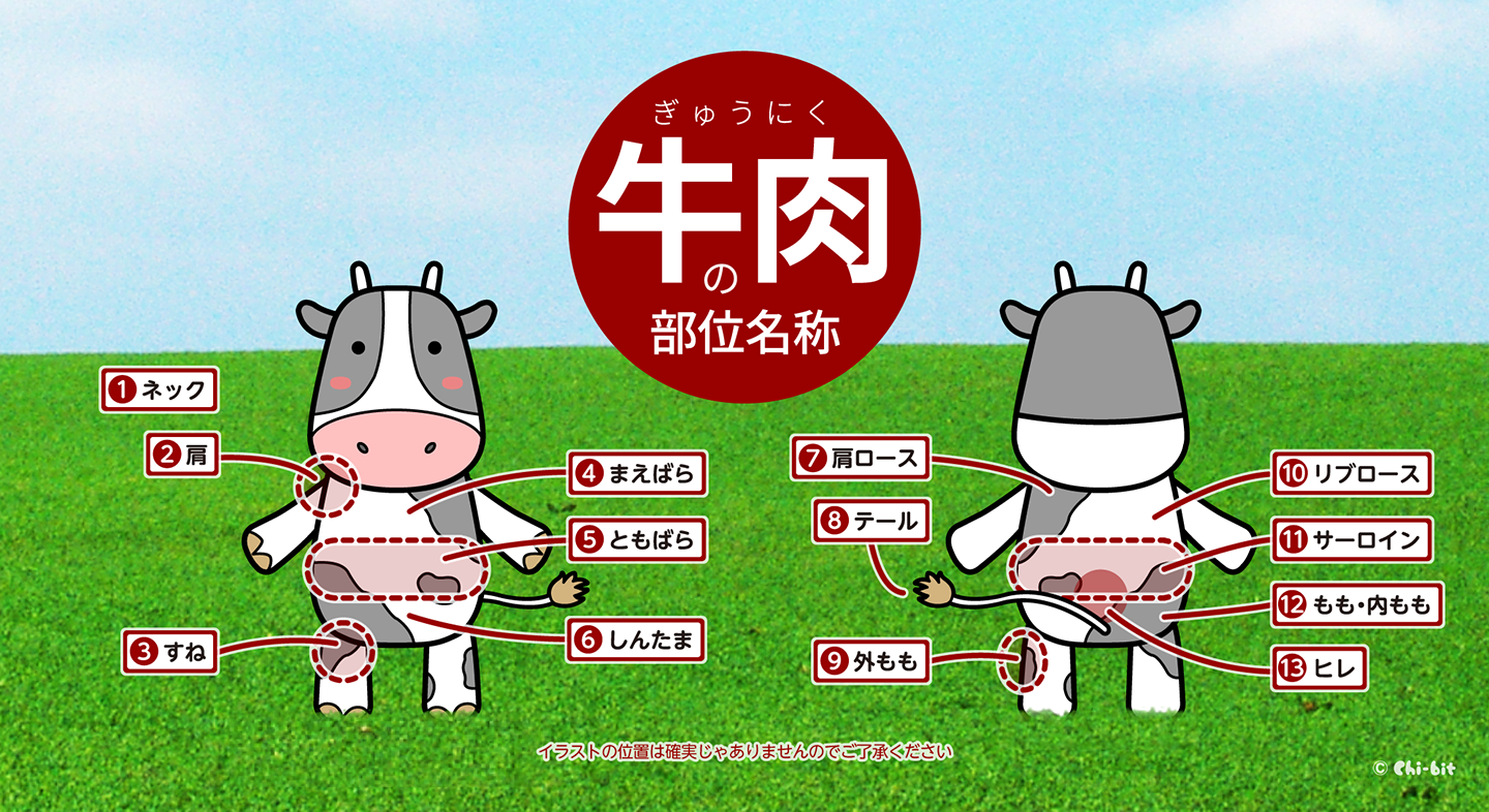 インフォグラフィック : 牛肉の部位名称 | Name of Beef Parts 