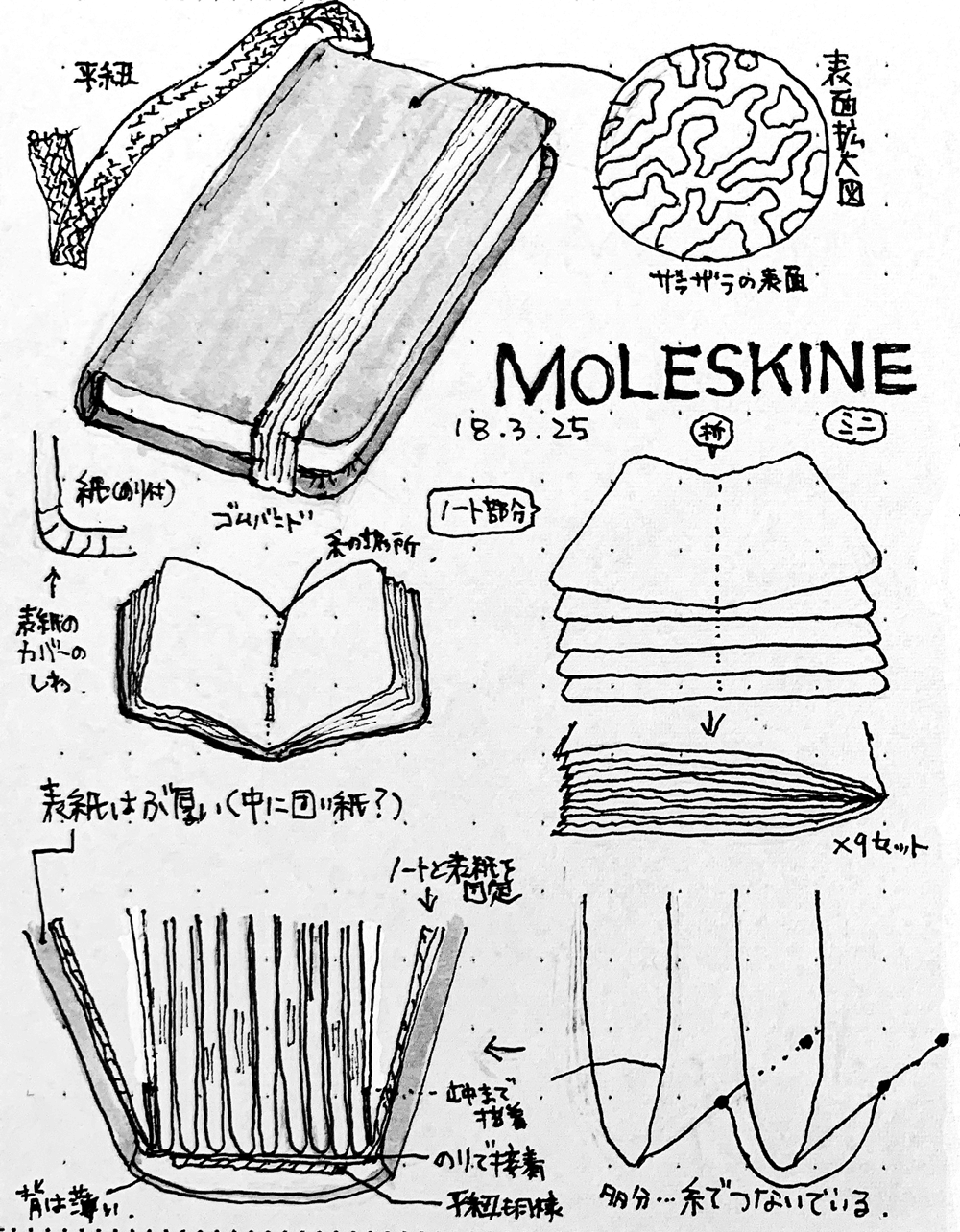観察スケッチ : モレスキン | Moleskine