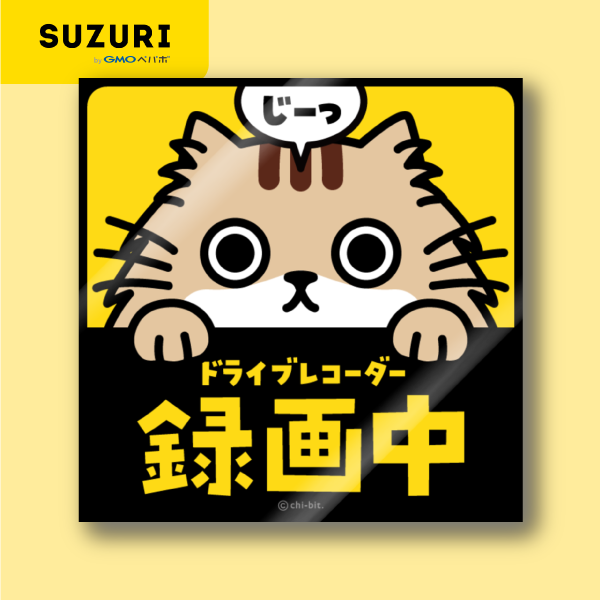サムネ : じーっとみる猫・ドライブレコーダー録画中！（クリームトラ / チンチラゴールデン・長毛） | Cat staring at you. Recording on the drive recorder (Cream Tabby / Chinchilla Golden・Longhaired)