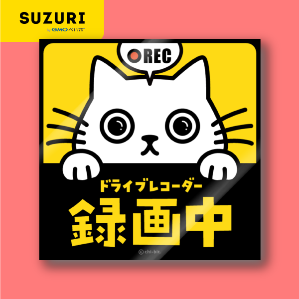 サムネ : じーっとみる猫・ドライブレコーダー録画中！（白猫） | Cat staring at you. Recording on the drive recorder (Solid White)