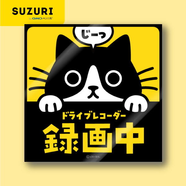 サムネ : じーっとみる猫・ドライブレコーダー録画中！（ハチワレ） | Cat staring at you. Recording on the drive recorder (Tuxedo)