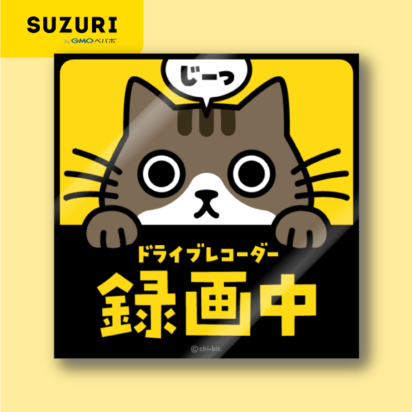 サムネ : じーっとみる猫・ドライブレコーダー録画中！（キジシロ） | Cat staring at you. Recording on the drive recorder (Brown Tabby and White)