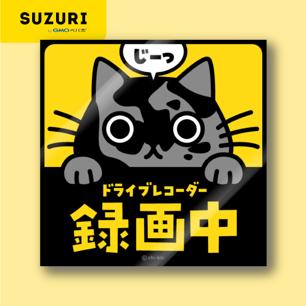 サムネ : じーっとみる猫・ドライブレコーダー録画中！（グレーサビ） | Cat staring at you. Recording on the drive recorder (Gray Tortoiseshell)