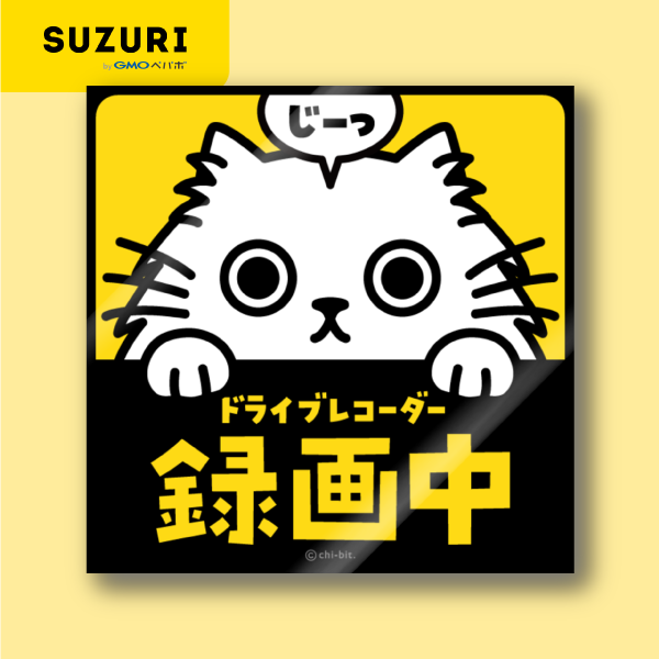 サムネ : じーっとみる猫・ドライブレコーダー録画中！（白猫） | Cat staring at you. Recording on the drive recorder (Solid White)