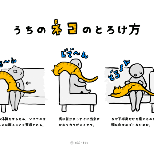 サムネ : うちのネコのとろけ方 | How my cat melts