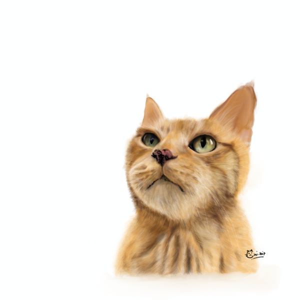 サムネ : うちの子 | My Lovely Cat 20.04.03