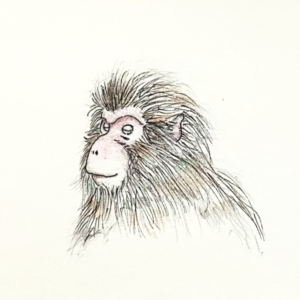 サムネ : 動物お絵描き | Drawing Animals