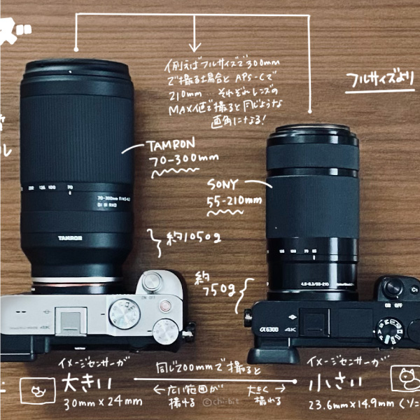 サムネ : フルサイズとAPS-Cの違い | Full Frame vs APS-C