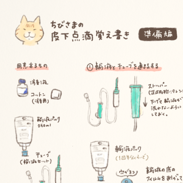サムネ : 猫さまの皮下点滴覚え書き | How to do Subcutaneous Fluid on a cat