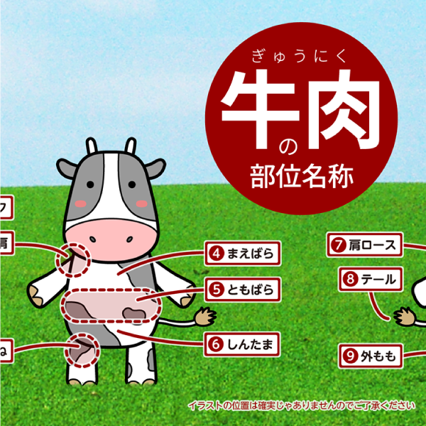 サムネ : 牛肉の部位名称 | Name of Beef Parts